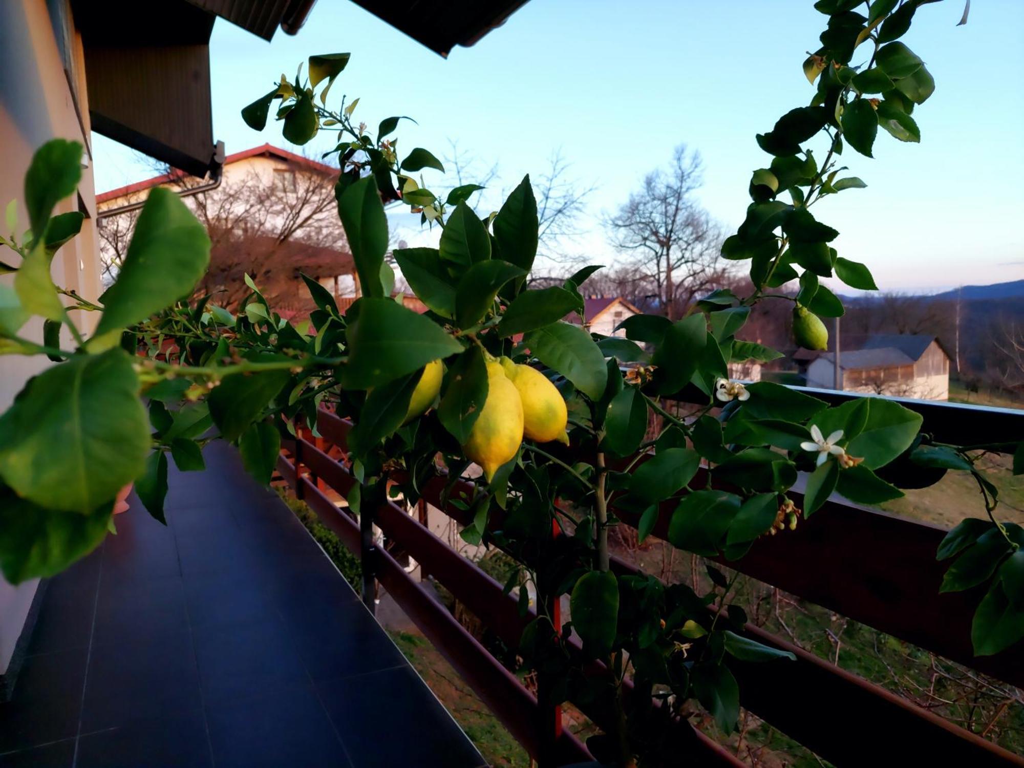 Apartman Masha Karlovac Bagian luar foto